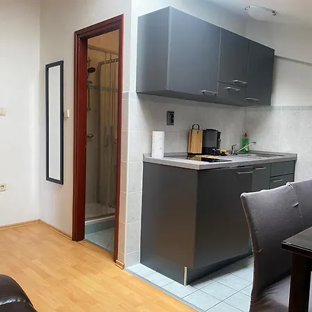 Villa Una Apartments Labin (Istria)